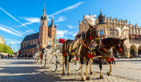 CROWN PIAST HOTEL & SPA Cracovia