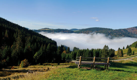 BREGGERS SCHWANEN Bernau