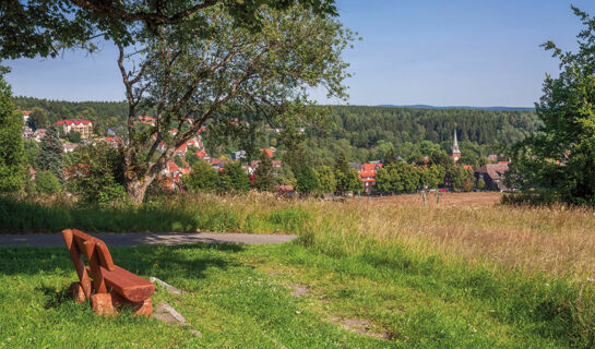 HOTEL ZUR ERHOLUNG Braunlage