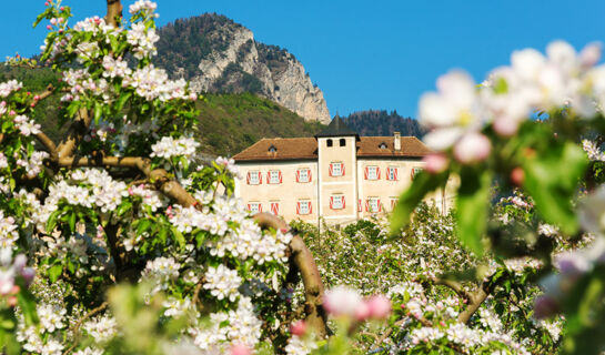 HOTEL STELLA DELLE ALPI Ronzone (TN)