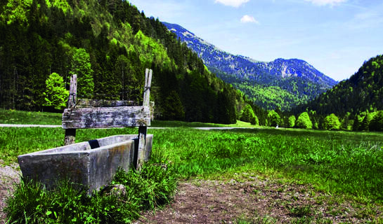 FERIEN- UND APARTHOTEL HAUS BAYERWALD Neureichenau