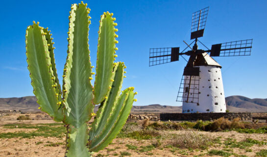 HOTEL OCEAN DREAMS - ADULTS ONLY Corralejo