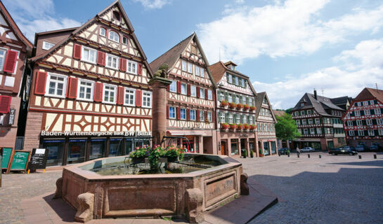 HOTEL-RESTAURANT SCHWARZWALD SONNENHOF Schömberg