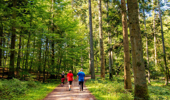 VITAL- UND WELLNESSHOTEL ALBBLICK Waldachtal