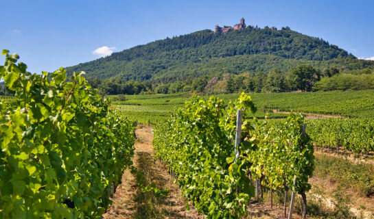 HÔTEL MUNSCH Saint Hippolyte (alsace)