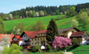 HOTEL GASTHOF ZUR KRONE Oberzent