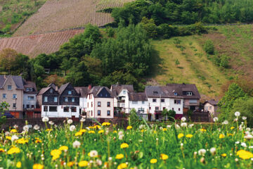 MOSEL-WEINHOTEL STEFFENSBERG Enkirch