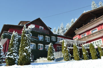 LANDIDYLL - HOTEL NUDELBACHER Feldkirchen (aus)