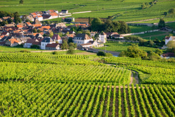 HOSTELLERIE BOURGUIGNONNE (B&B) Verdun-sur-le-Doubs