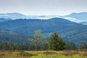 HOTEL ALTASTENBERG Winterberg